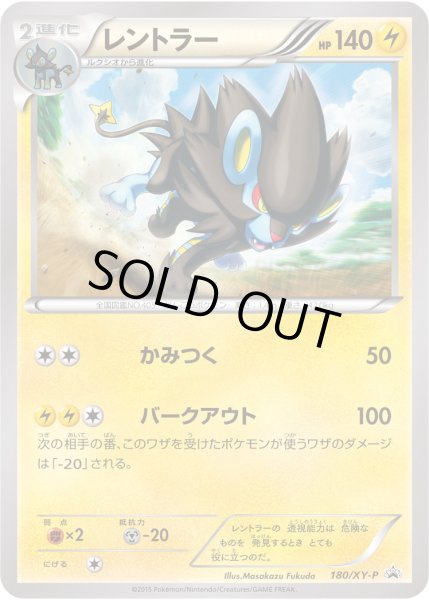 画像1: レントラー【P】{180/XY-P} (1)