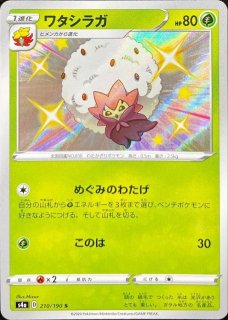 サンダーex【SAR】{204/165}