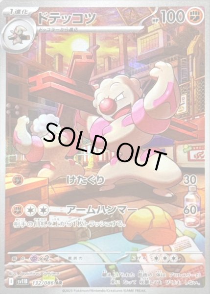 画像1: 〔状態B〕ドテッコツ【AR】{132/086} (1)