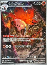 レシラム EX 230 HP 炎タイプ レシラムEX ポケモンカード 230HP ポケットモンスター