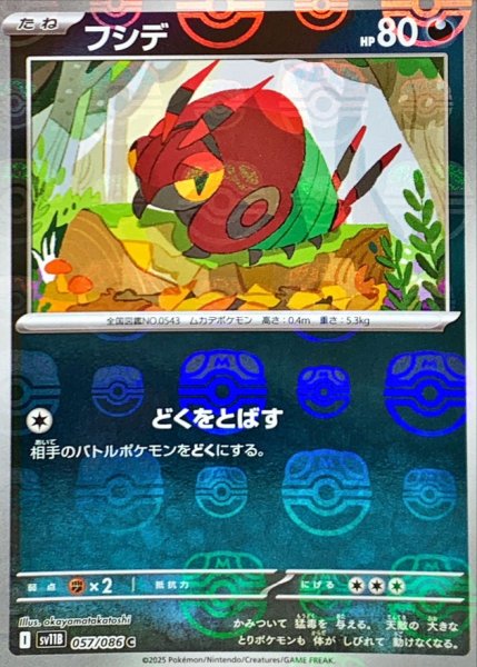 画像1: フシデ(マスターボールミラー)【C】{057/086} (1)