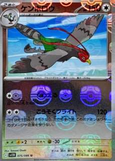 マスターボールミラー(拡張パック「ブラックボルト」「ホワイト
