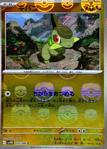 画像1: キバゴ(マスターボールミラー)【C】{070/086} (1)