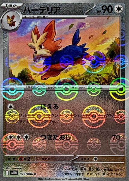 画像1: ハーデリア(モンスターボールミラー)【C】{073/086} (1)