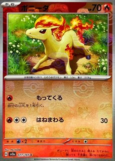 魂抜け】ユンゲラー マスターボールミラー