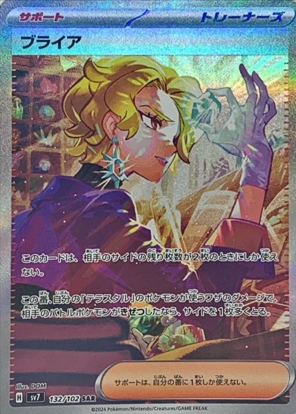 画像1: 〔状態B〕ブライア【SAR】{132/102} (1)