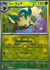 マスターボールミラー(ハイクラスパック 「テラスタルフェスex