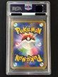 画像3: 〔PSA10鑑定済〕ポンチョを着たピカチュウ【P】{208/XY-P} (3)