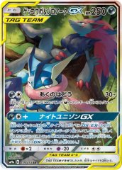 リザードン＆テールナーGX(SA)【SR】{068/064}