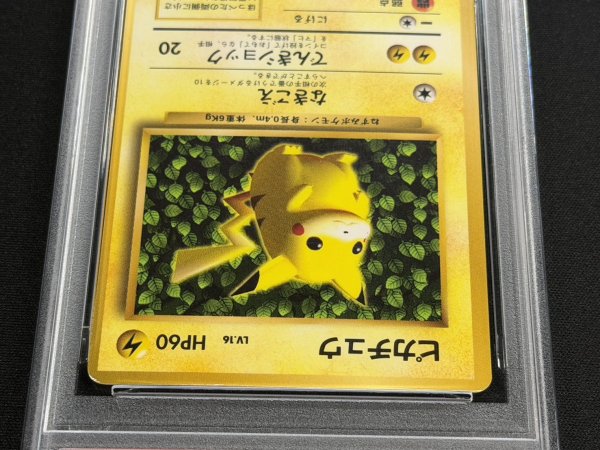 画像3: 〔PSA7鑑定済〕ピカチュウ LV.16(光沢あり/Ken Sugimori)【-】{旧裏} (3)