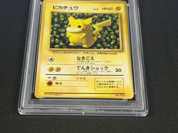 PSA6鑑定済〕ピカチュウ LV.16(光沢あり/Ken Sugimori)【-】{旧裏}