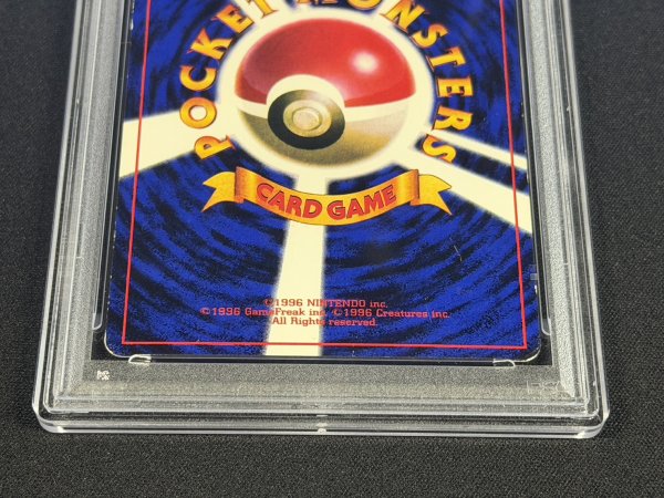 画像7: 〔PSA6鑑定済〕ピカチュウ LV.16(光沢あり/Ken Sugimori)【-】{旧裏} (7)