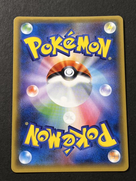 画像7: カリン(SR仕様)【-】{183/171} (7)