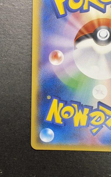 画像10: アセロラ【SR】{056/049} (10)