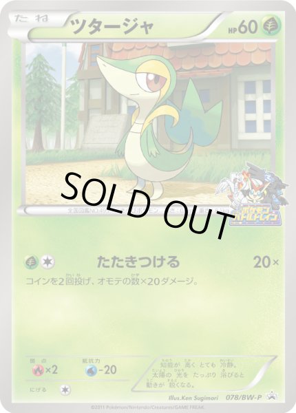 画像1: ツタージャ【P】{078/BW-P} (1)