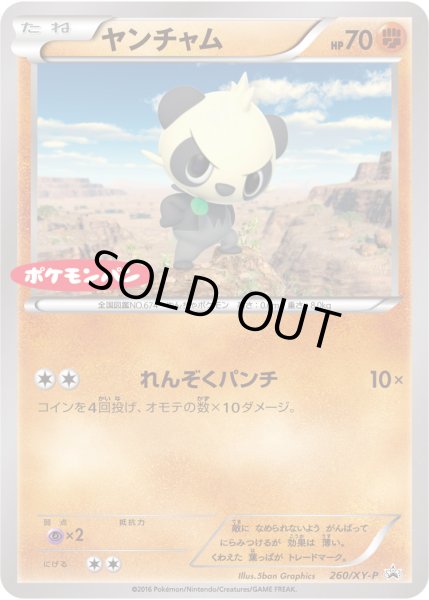 画像1: 〔状態B〕ヤンチャム【P】{260/XY-P} (1)