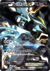 状態C〕ライコウEX【SR】{071/069}