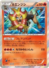 憧れの カエンジシ - カードラッシュ[ポケモン] ポケモンカードゲーム