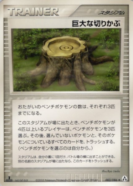 画像1: 〔状態B〕巨大な切りかぶ【◆】{083/086} (1)
