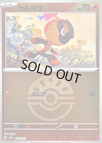 画像1: 〔状態A-〕カルボウ(フレンドボールミラー)【-】{030/193} (1)