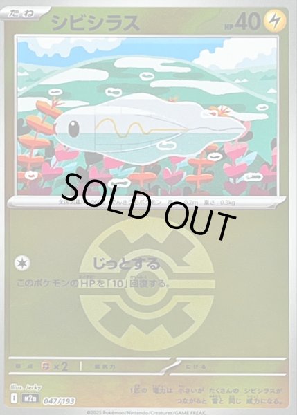 画像1: 〔状態B〕シビシラス(クイックボールミラー)【-】{047/193} (1)