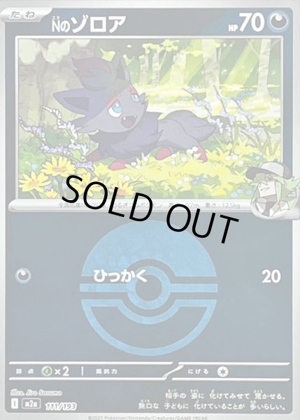 画像1: 〔状態A-〕Nのゾロア(モンスターボールミラー)【-】{111/193} (1)