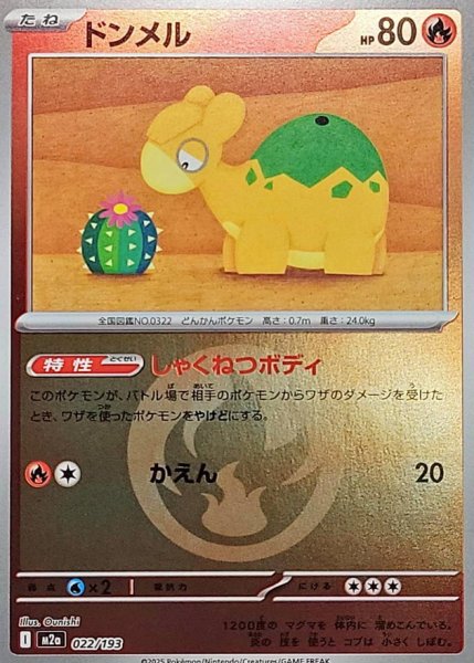 画像1: 〔状態A-〕ドンメル(炎エネルギーミラー)【-】{022/193} (1)