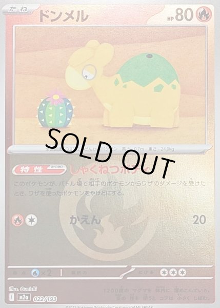 画像1: 〔状態B〕ドンメル(炎エネルギーミラー)【-】{022/193} (1)