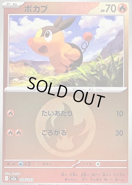 画像1: 〔状態B〕ポカブ(炎エネルギーミラー)【-】{024/193} (1)