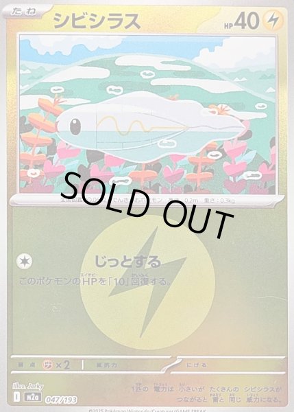 画像1: 〔状態B〕シビシラス(雷エネルギーミラー)【-】{047/193} (1)