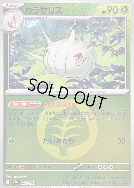 画像1: 〔状態B〕カラサリス(草エネルギーミラー)【-】{005/193} (1)