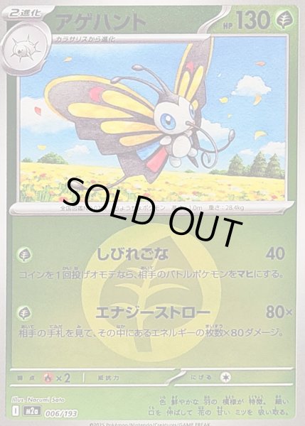 画像1: 〔状態B〕アゲハント(草エネルギーミラー)【-】{006/193} (1)