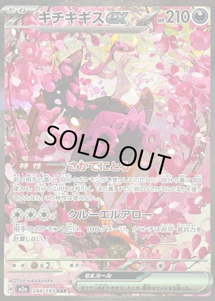 画像1: 〔状態B〕キチキギスex【SAR】{244/193} (1)