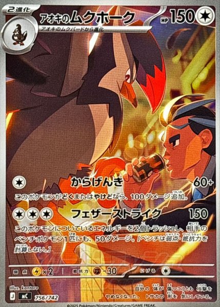 画像1: アオキのムクホーク(AR仕様)【-】{756/742} (1)