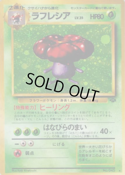 画像1: 〔状態B〕ラフレシア LV.35【★】{旧裏} (1)