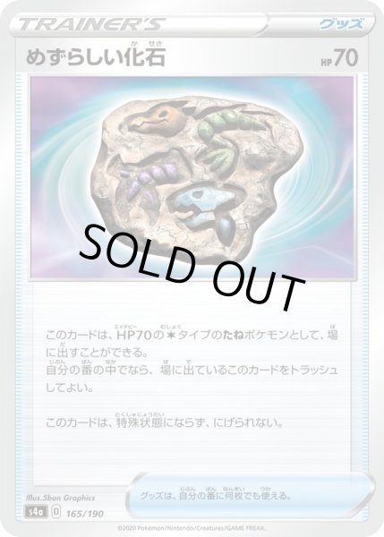 画像1: 〔状態A-〕めずらしい化石【-】{165/190} (1)