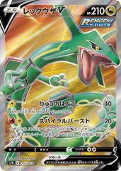 PSA8鑑定済〕タケシのロコンLV.10【-】{旧裏}