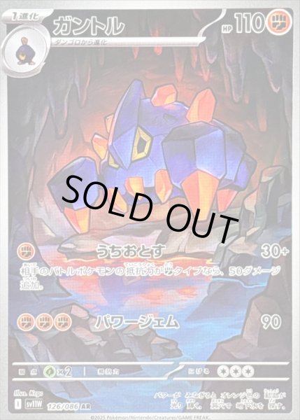 画像1: 〔状態B〕ガントル【AR】{126/086} (1)