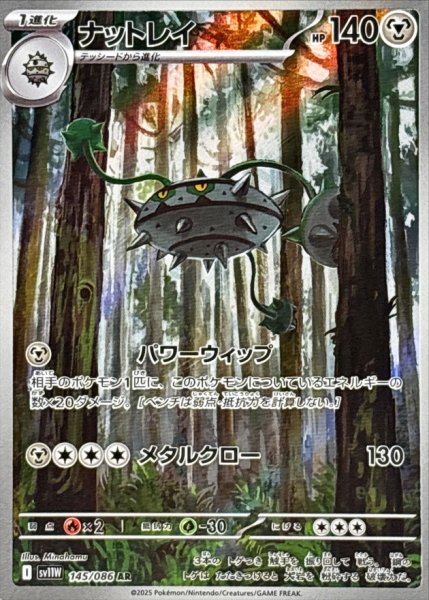 画像1: ナットレイ【AR】{145/086} (1)