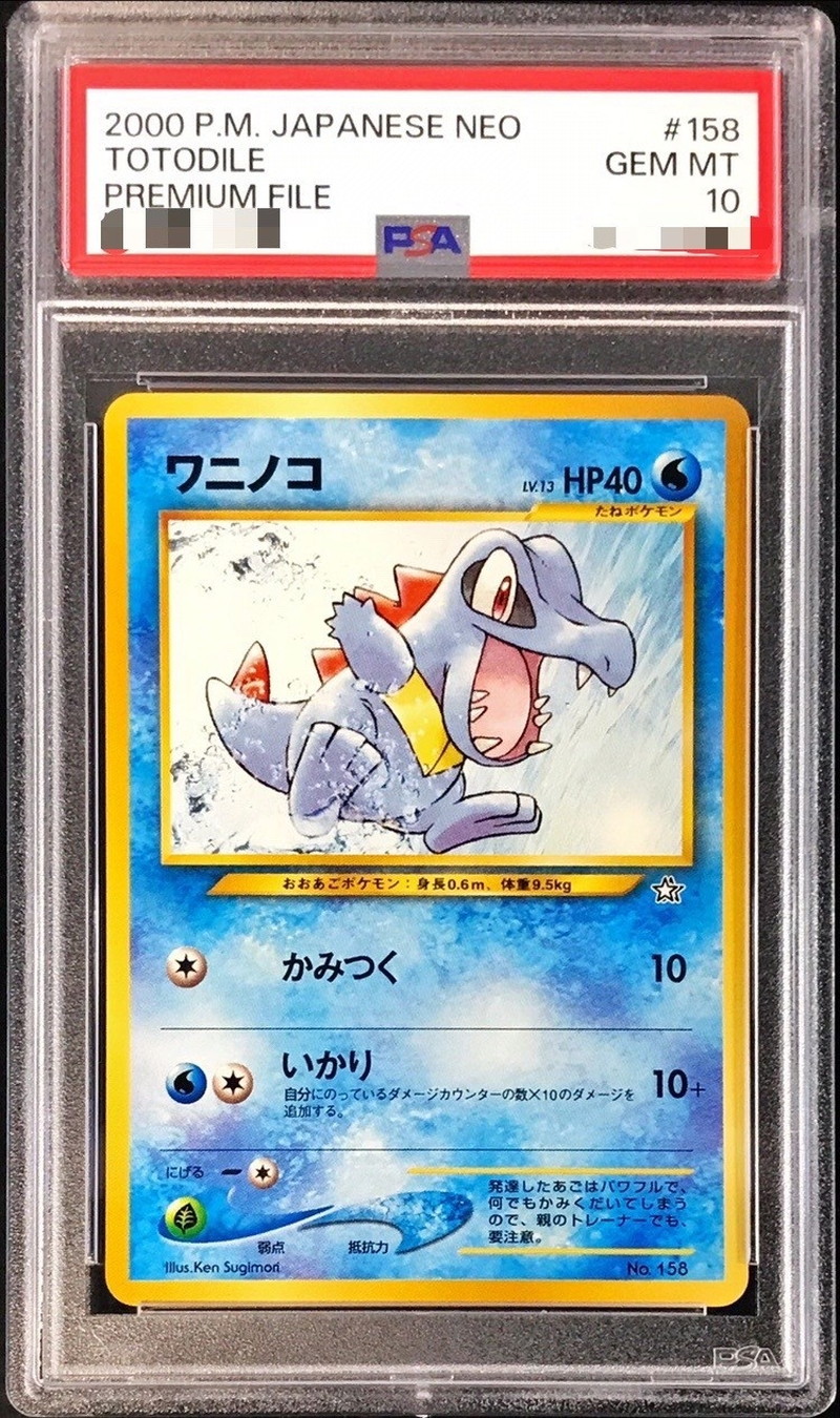 PSA10 ポケモンカードe ワニノコ