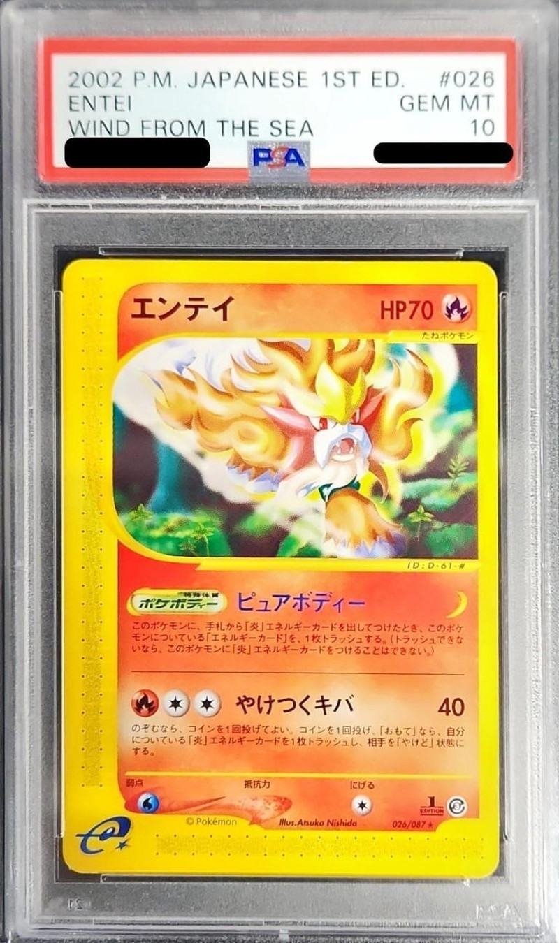 PSA 10 エンテイ ex 1st マグマデッキ 2003 鑑定品