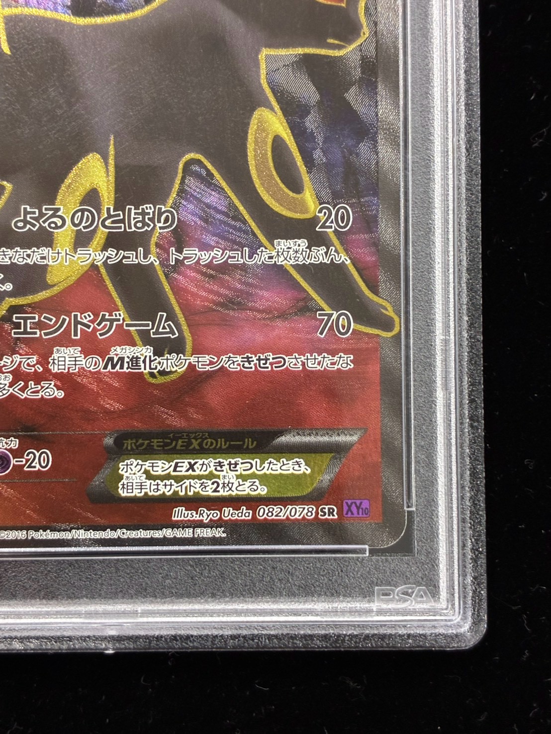 PSA10鑑定済〕ブラッキーEX【SR】{082/078}