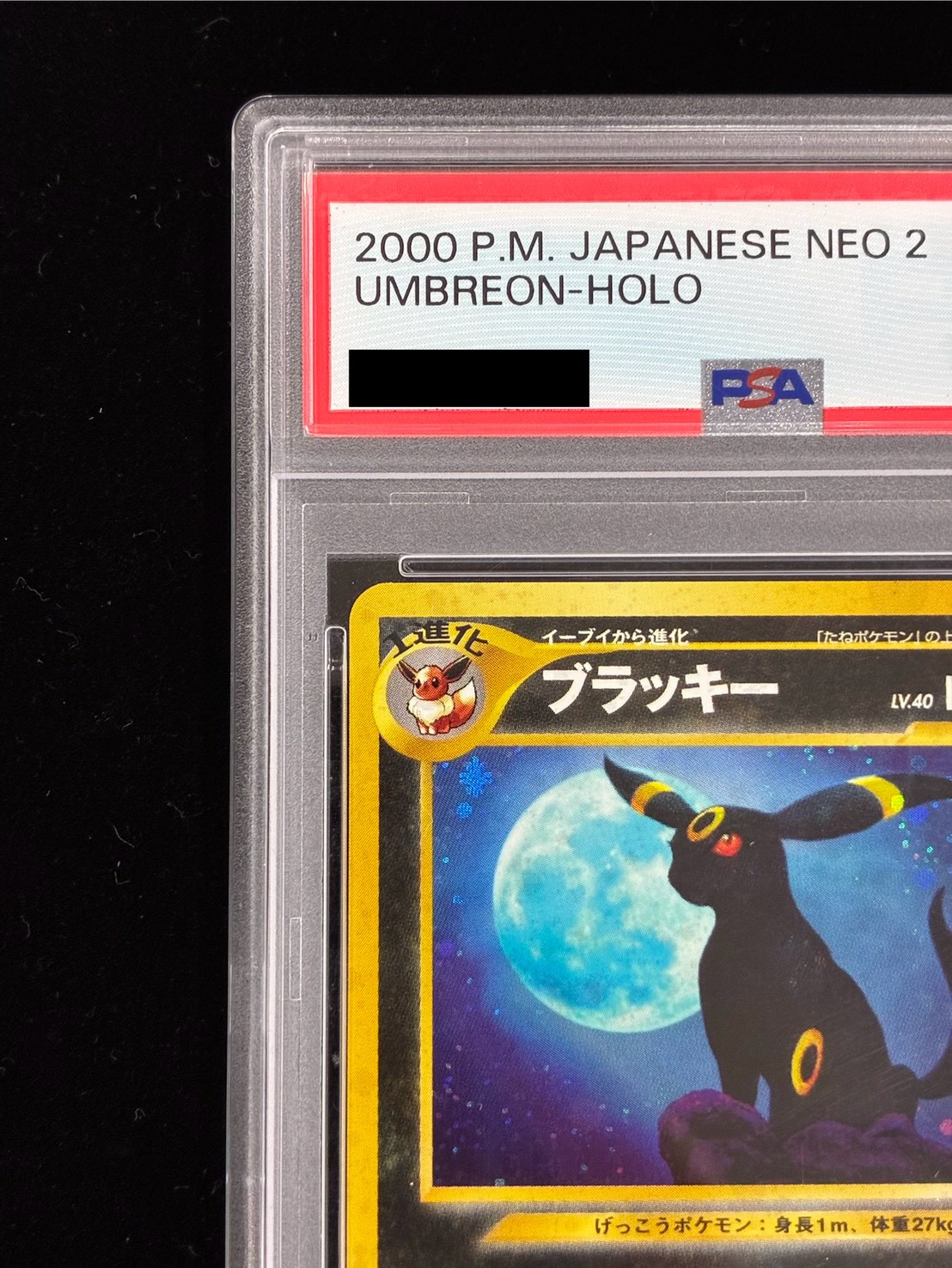 PSA10鑑定済〕ブラッキー LV.40【☆】{旧裏}