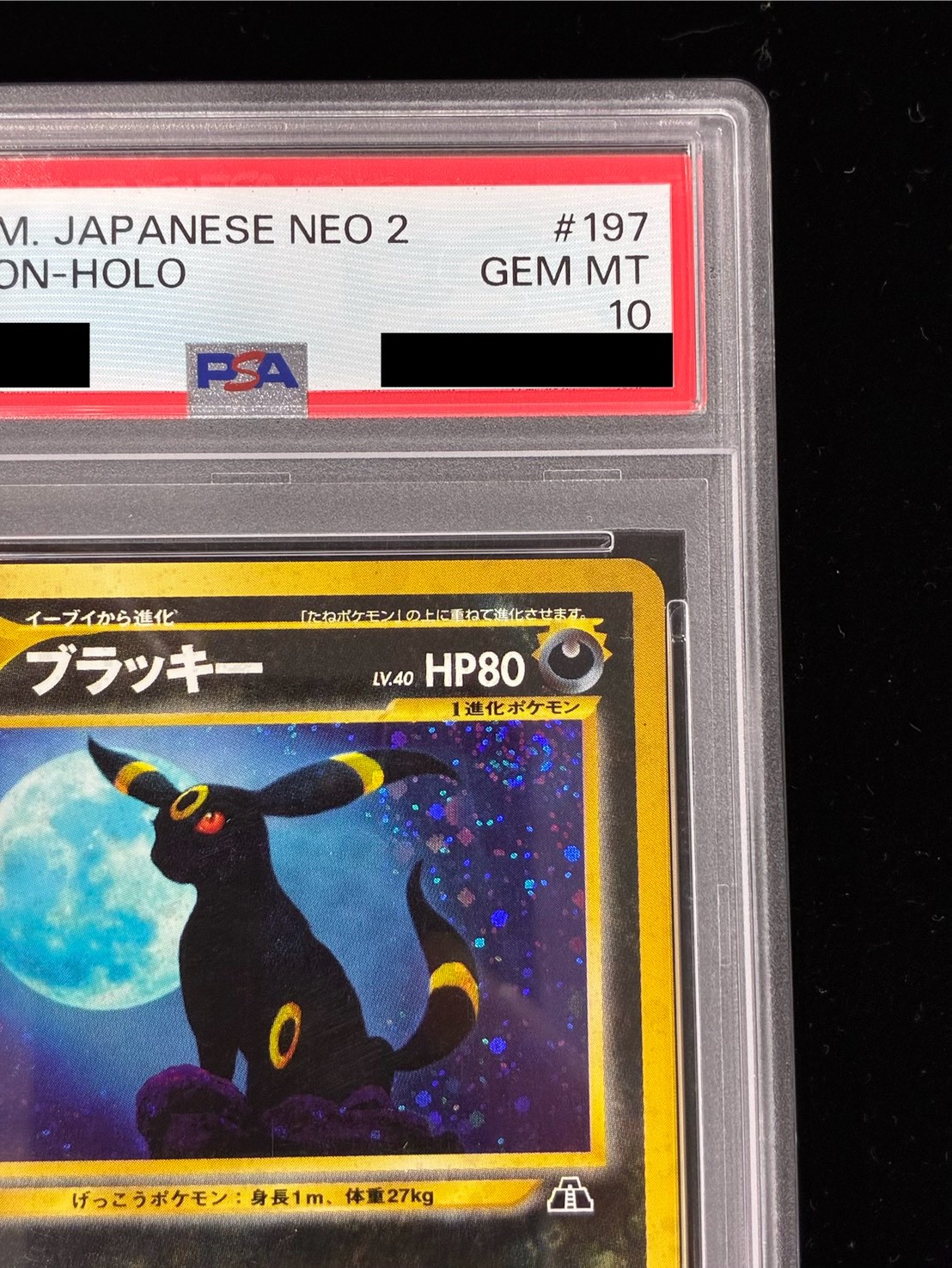 PSA10鑑定済〕ブラッキー LV.40【☆】{旧裏}