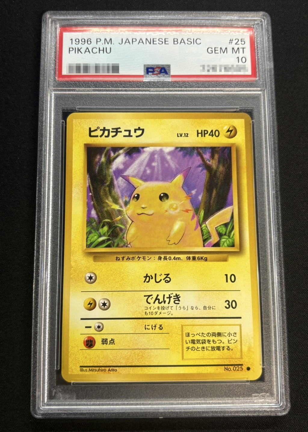 状態難/PSA10鑑定済〕ピカチュウ LV.12(マークあり)【○】{旧裏}
