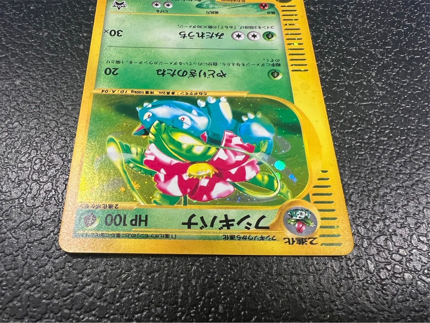 日本に フシギバナ カメックス リザードン カードe トリプルゲット