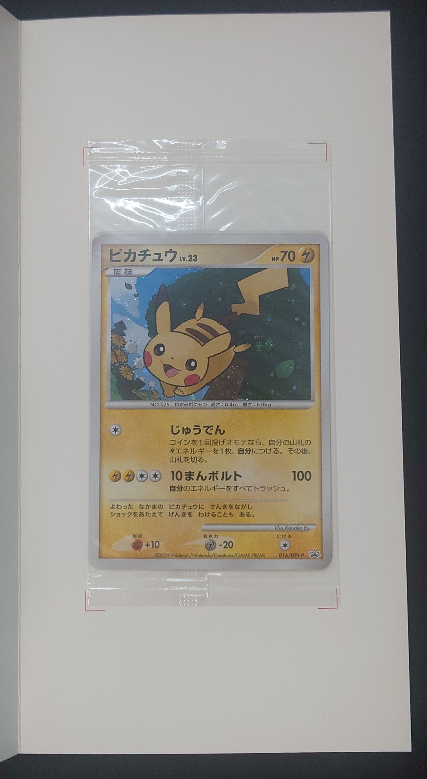 psa9 ピカチュウ LV.23 PROMO DPt-Pプロモ だいすきクラブ psa9