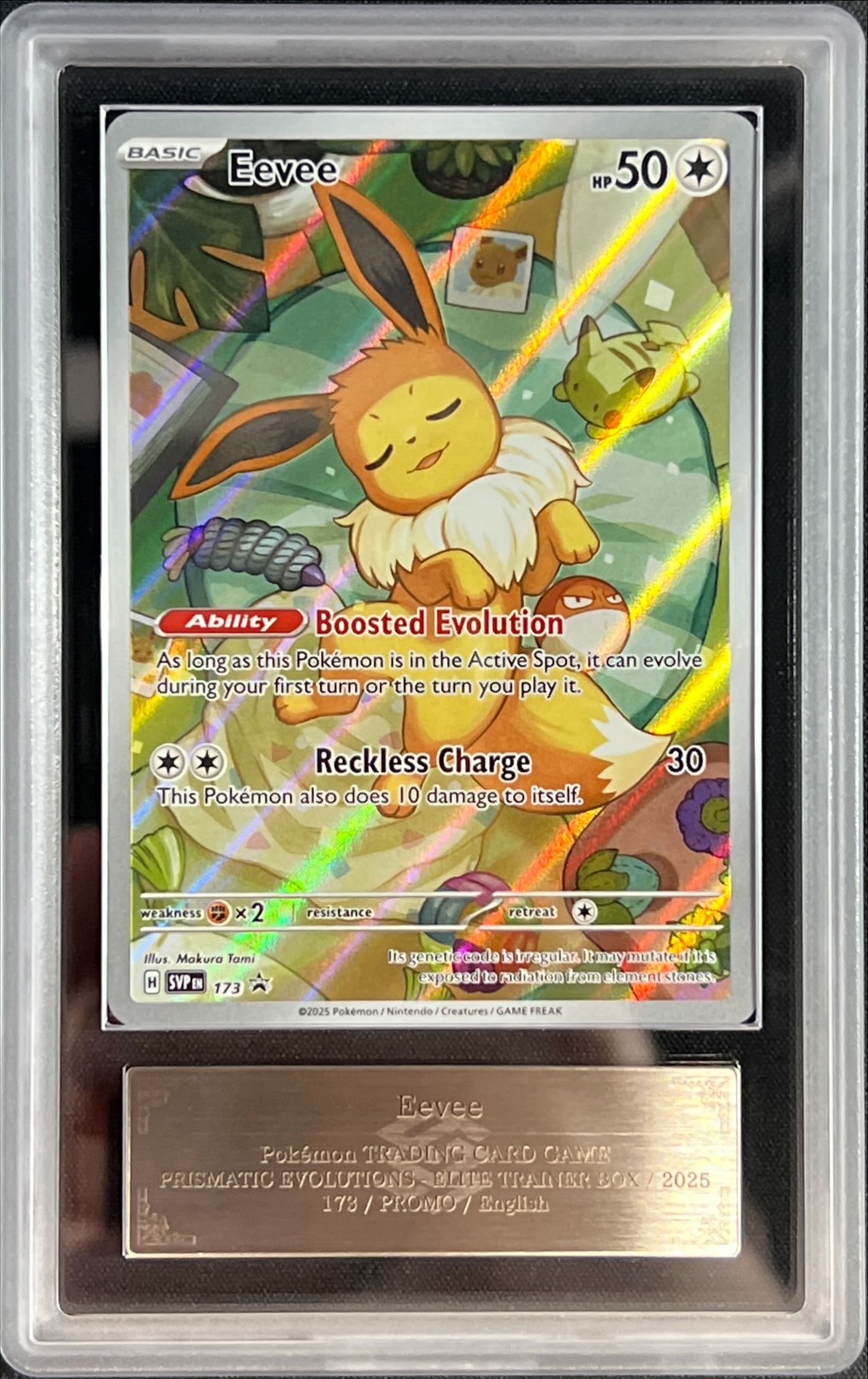ARS鑑定10】イーブイex SAR テラスタルフェス ポケカ ポケモン