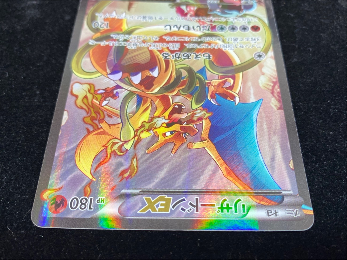 リザードン カードダス FILE 006 ポケモン sn273 ポケモン カードダス リザードン File No.006 ポケモンカード