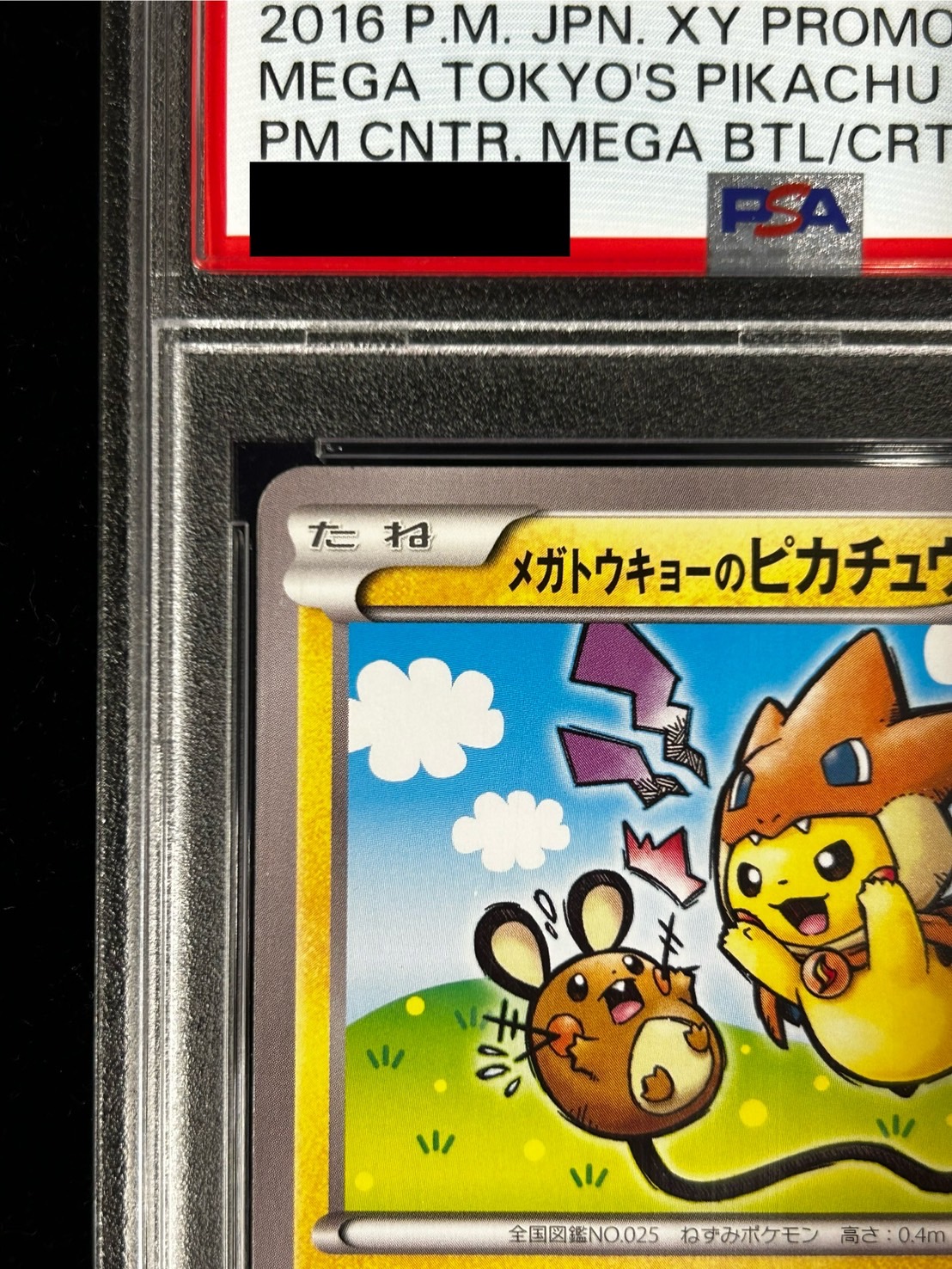 ポケモンカード　メガトーキョーのピカチュウ　psa9 メガトウキョーのピカチュウ(098/XY-P) | プロモ | ドラゴン